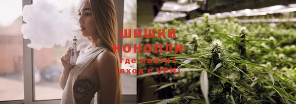амф Козловка