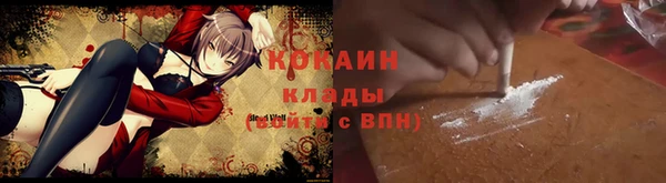 амф Козловка