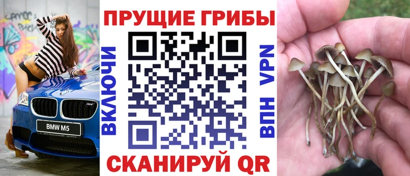 Галлюциногенные грибы Magic Shrooms  Купить закладки  Донской 