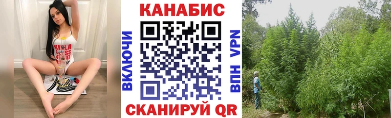 Купить где  Донской  Шишки марихуана White Widow 